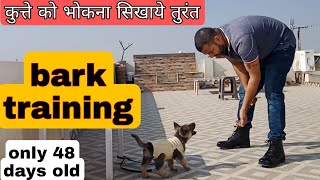 Puppy bark training , dog bark training in hindi जर्मन शेफर्ड पप्पी को भोकने की ट्रेनिंग कैसे दे ?