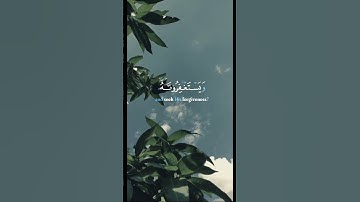 أفلا يتوبون إلي الله||ناصر القطامي #القرآن#آيات#لاحول_ولا_قوة_الا_بالله #القران_بصوت_جميل #الحمدلله