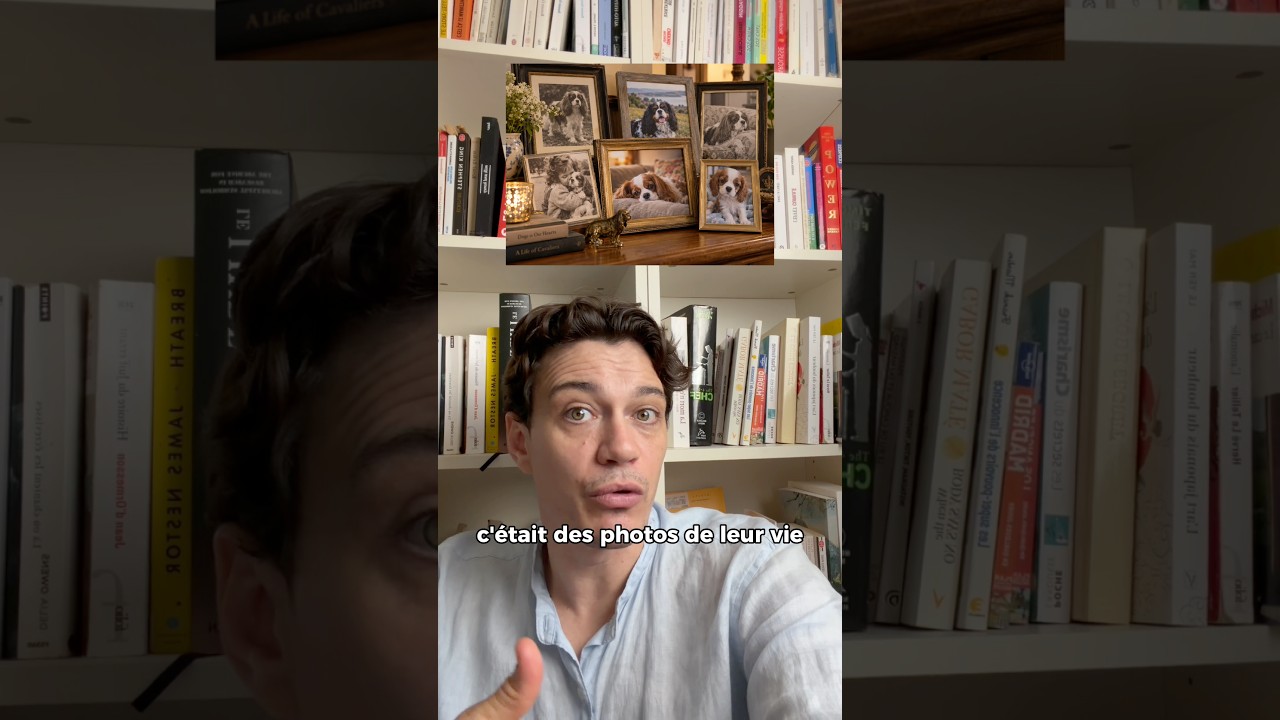 La vrai signification d’une race de chien (attention sujet sensible)