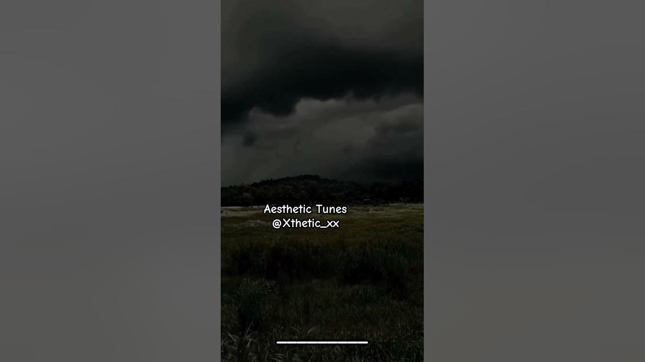 Loneliness is the biggest happiness💔|#songstatus #lyricalshorts #music #painful #lonely #sad