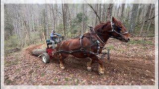 Horse Logging for our Barn Build | Jason Rutledge