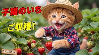Touching] Kokonyan's First Strawberry Harvest! ✨ Tears after