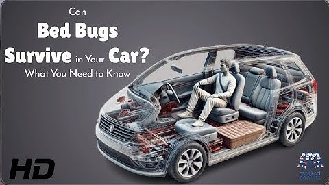 Can Bed Bugs Infest Your Car? Find Out Now!
