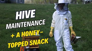 Bee Hive Maintenance + A HONEY TOPPED SNACK 🐝