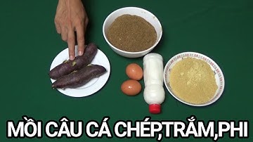 Bài mồi câu cá chép siêu nhạy câu đơn câu đài lăng xê l CẦN THỦ ĐẤT CẢNG