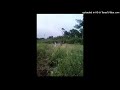 Tekas MUNINGU Ndara Badoondo 