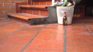 la basura a la caneca screenshot 3