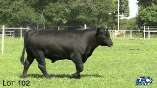 Lot 102  1065 Jacs Ranch