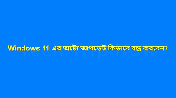Windows 11 এর অটো আপডেট কিভাবে বন্ধ করবেন