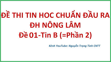 Đề thi tin học chuẩn đầu ra ĐH Nông Lâm Phần 2 Excel Nâng cao (Tin B)-Đề 01