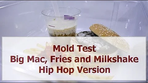 Food Rotting Timelapse: Big Mac, Fries and Milkshake - Hip Hop Version