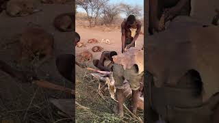 ⁠Nature’s toughest forager — the wild pig.