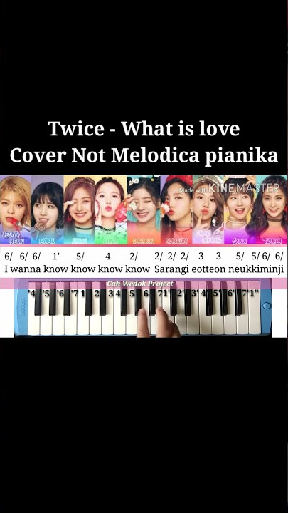 Twice - What is love not melodica / not angka pianika |Tiktok|