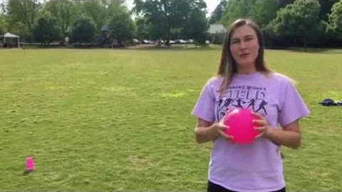 Virtual Field day -Penguin Race