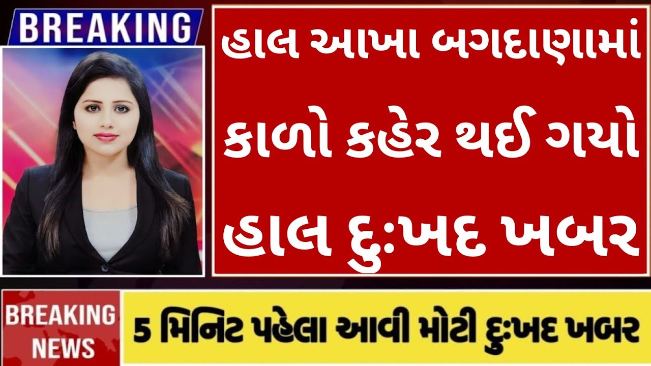 02/01/2026||Today Breaking News||આજના તાજા સમાચાર||મોટા સમાચાર||તાજા ન્યુઝ||GUJRAT SAMAY NEWS