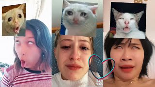 Meme Cat Test 😹 TikTok Compilation ✨