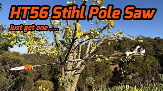 Stihl HT56 Pole Saw - Don't think, just get one - 2024 #10