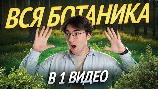 картинка: ВСЯ БОТАНИКА для ОГЭ по биологии | Умскул
