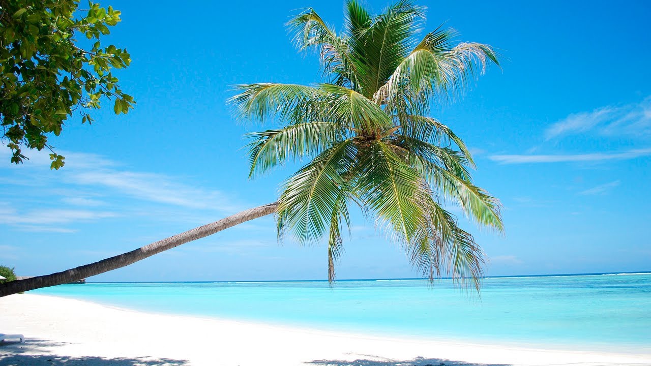 The most beautiful melody in the world For the Soul!🌊ISLANDS🌴Sergey Chekalin