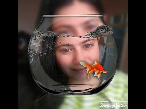 სლაიდშოუ