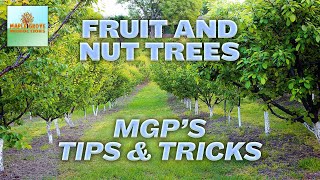 Planting FRUIT and NUT TREES Tips & Tricks | Homesteading for Beginners #5