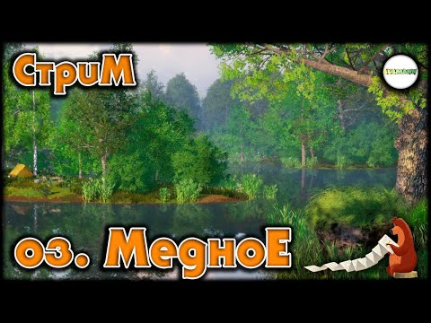 Видео: 🔴РУССКАЯ РЫБАЛКА 4 (RUSSIAN FISHING 4)🔴 - ОЗЕРО МЕДНОЕ. ТРОФЕЙНЫЙ КАРАСЕКАРП.