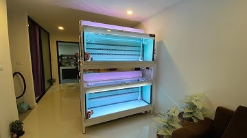 Yoke หยก บางใหญ่ - งานระบบ Overflow Full Services ตู้ปลา 60 24 24 กรองบน 2 ชั้นพร้อมอุปกรณและงานล้าง