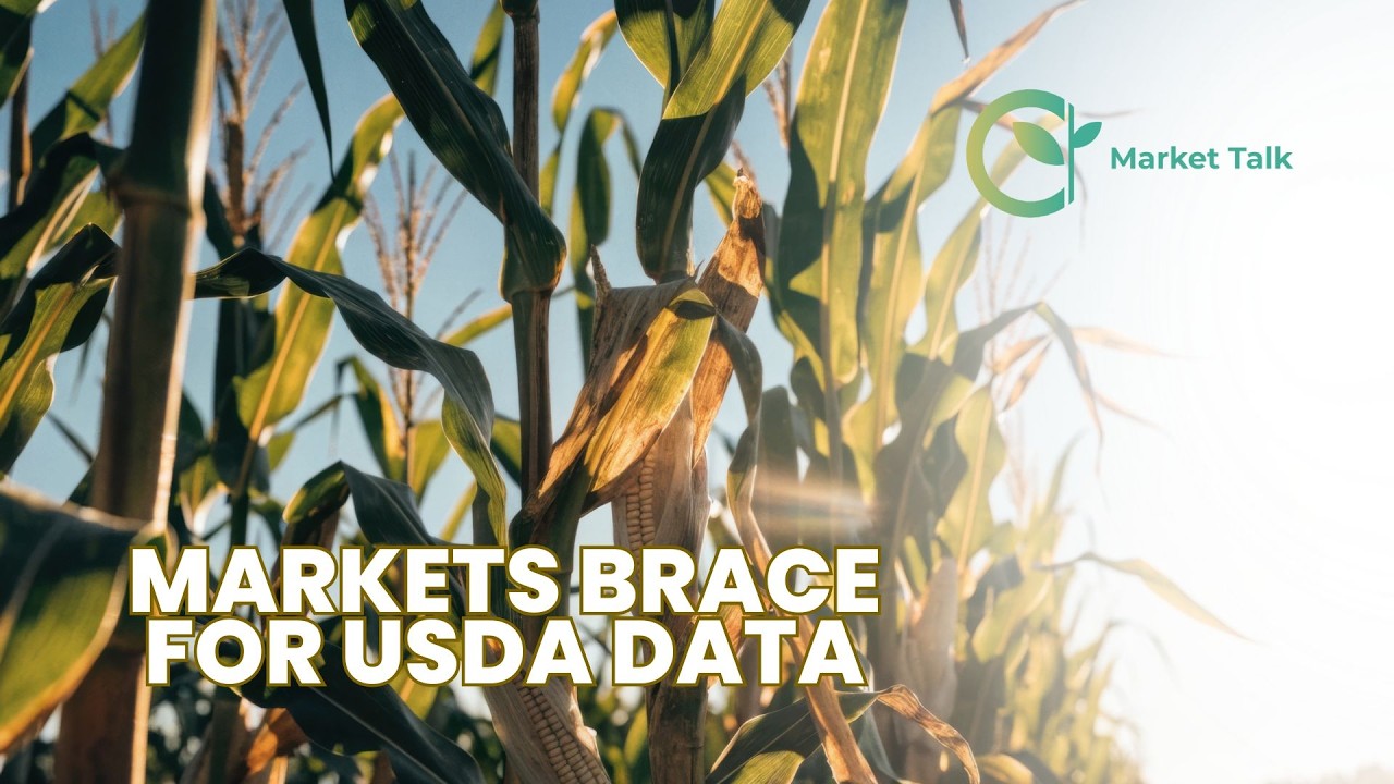 Corn, Soybeans Under Pressure Ahead of USDA Reports
