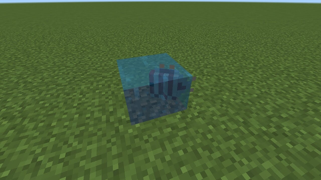 Will fish survive in one block of water.