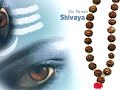 Most powerful hindu mantra mahamritunjay mantra havan  108 chants