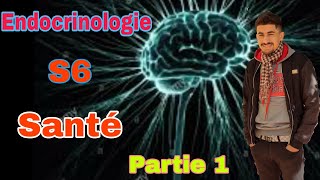 Cours endocrinologie S6 Santé | Partie 1