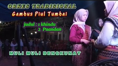 LAGU LAMPUNG // KHINDU... MULI BENGKUNAT // PERSI ORKES TRADISIONAL GAMBUS PIUL ASLI PESISIR