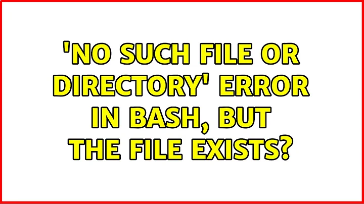 'No such file or directory' error in bash, but the file exists? (7 Solutions!!)