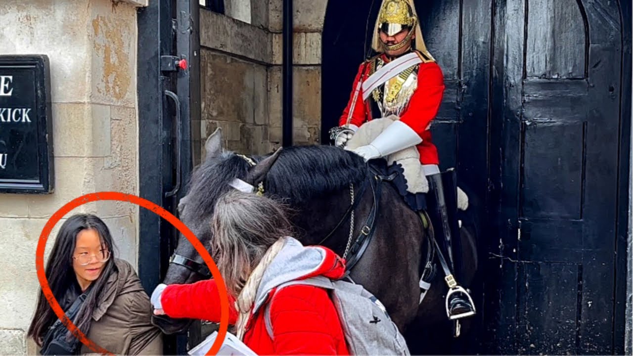 Quick response saves the girl from horse bites! YouTube