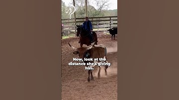 Working Through Situational Resistance With Your Horse! Part 8! | The Horse Guru-Michael Gascon