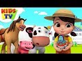 Old Macdonald Had A Farm | Boom Buddies Cartoons | Videos For Children - Kids TV