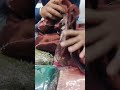 jimmy chu organza sarees designer organja sarees party wear jimmy choo :#viralvideo #fashion