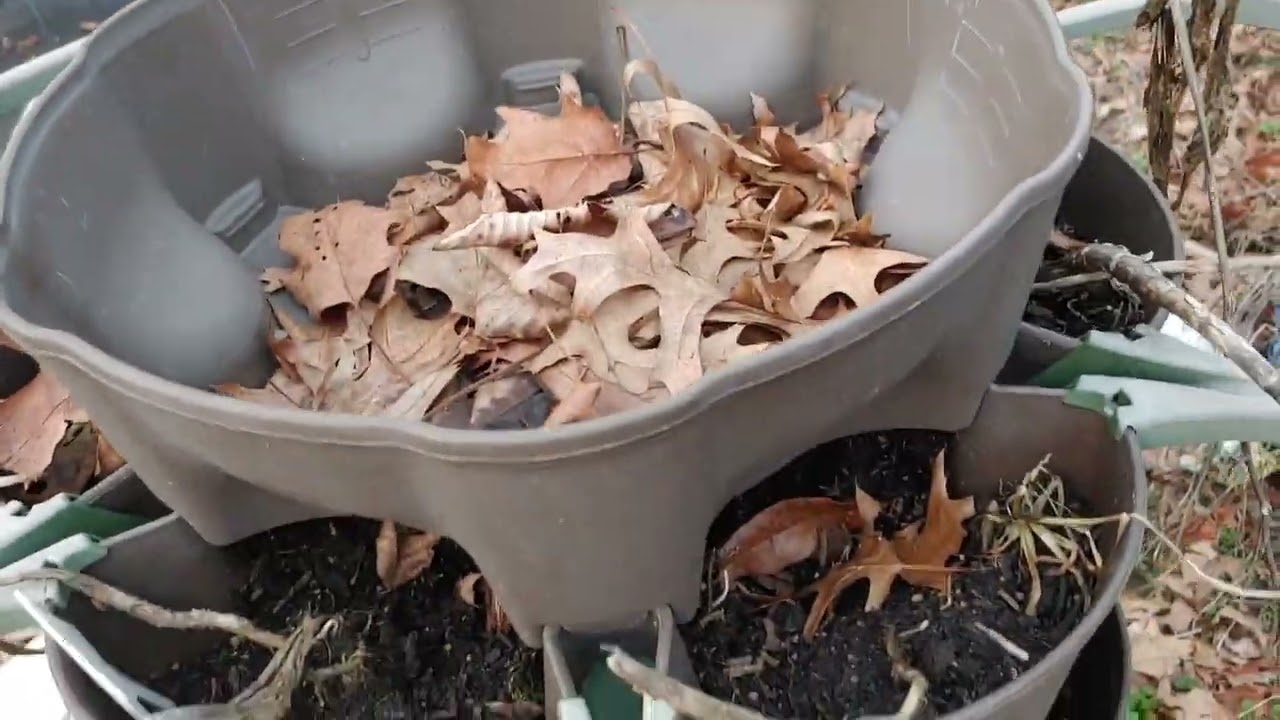 SPRING is almost here. Let's Look what winter did. Zone 6b