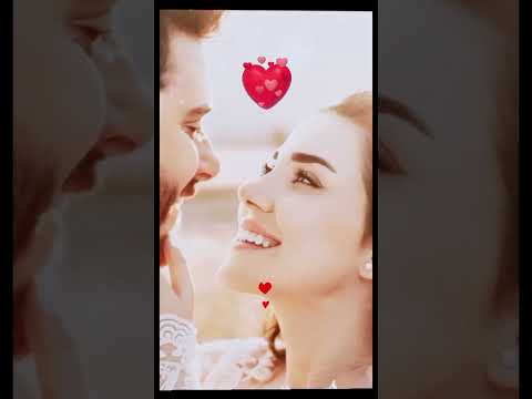 الأانت يسعد اوقاتكم