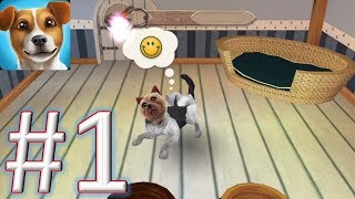 Doghotel My Dog Boarding Kennel 1 Gameplay Android & Ios