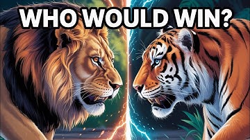 Lion vs Tiger: Who Would Win in the Ultimate Showdown? | Unbelievable Facts!