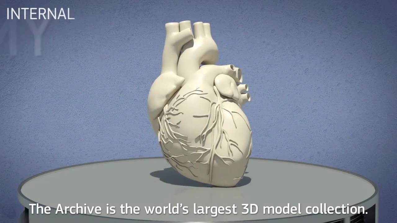 世界最大級のコレクション 16カテゴリー 16 504個のobjファイルを収録する3dモデル集 The Archive
