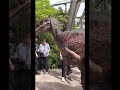 【旅行編】1年ぶりのユニバ😃&関西人やのに初通天閣🗼