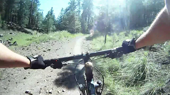 Schultz creek downhill mtb
