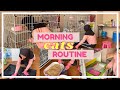 Morning routine w cats  bersihkan kandang kucing d