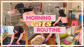 MORNING ROUTINE W CATS | Bersihkan kandang kucing :D
