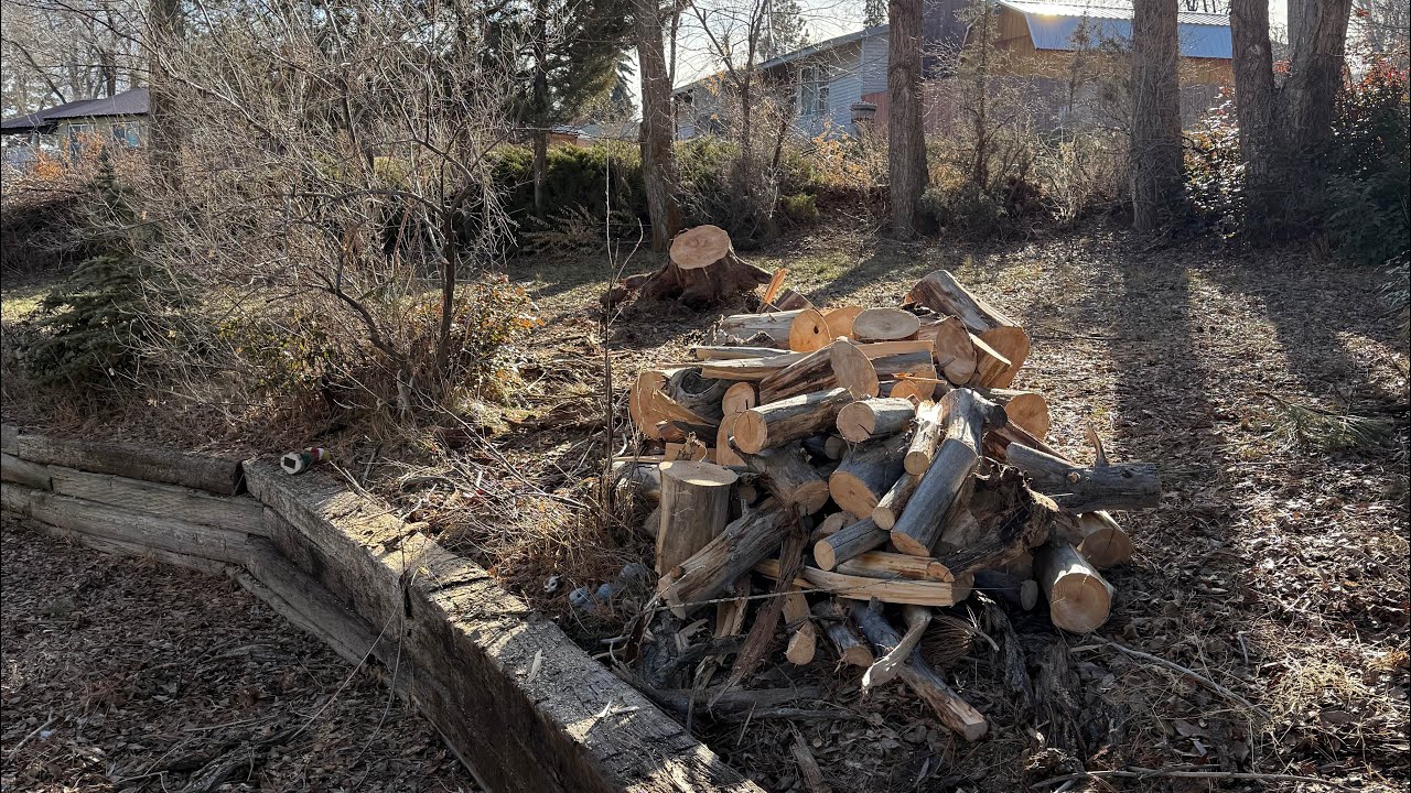 Kicking off 2026 by helping a friend! 