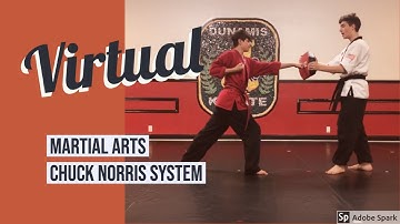 Virtual Martial Arts - Chuck Norris System - PE Distance Learning