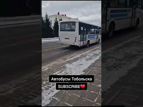 Автобусы Тобольска. Спасибо