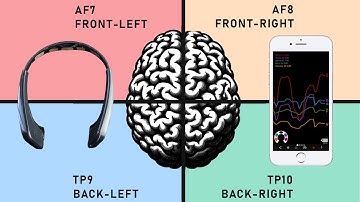 Exploring Brainwaves and Brain Quadrants with Muse Headband + Mind Monitor